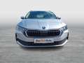 Skoda Octavia Selection TDI DSG Silber - thumbnail 8