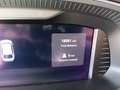Skoda Octavia Selection TDI DSG Silber - thumbnail 10