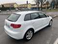 Audi A3 Sportback 1.6 tdi Ambition 90cv NEOPATENTATI Bianco - thumbnail 3