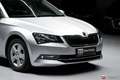 Skoda Superb 2.0 TDI Ambition 4x4 Standheitzung*AHK*NAVI*SHZ Zilver - thumbnail 8