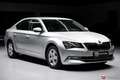 Skoda Superb 2.0 TDI Ambition 4x4 Standheitzung*AHK*NAVI*SHZ Zilver - thumbnail 7