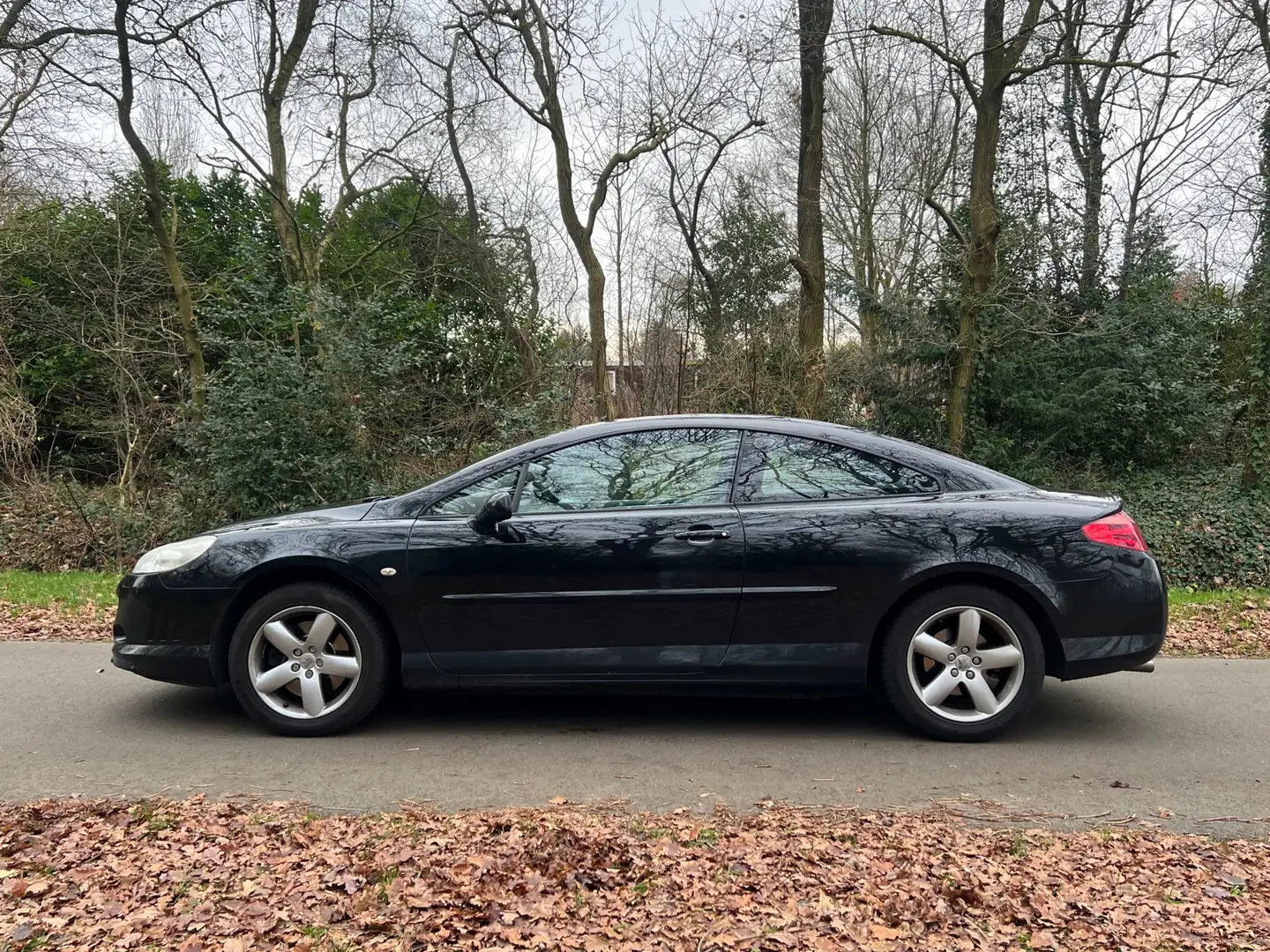 Peugeot 407 Coupé 2.2-16V Pack | Nieuwe apk + Cruise + Clima + Zwart - 2