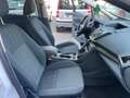 Ford C-Max 1.6 tdci Titanium 115cv dpf Bianco - thumbnail 12