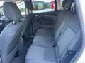 Ford C-Max 1.6 tdci Titanium 115cv dpf Bianco - thumbnail 10