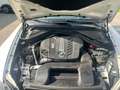BMW X6 xDrive40d Österreich-Paket Aut. Weiß - thumbnail 5