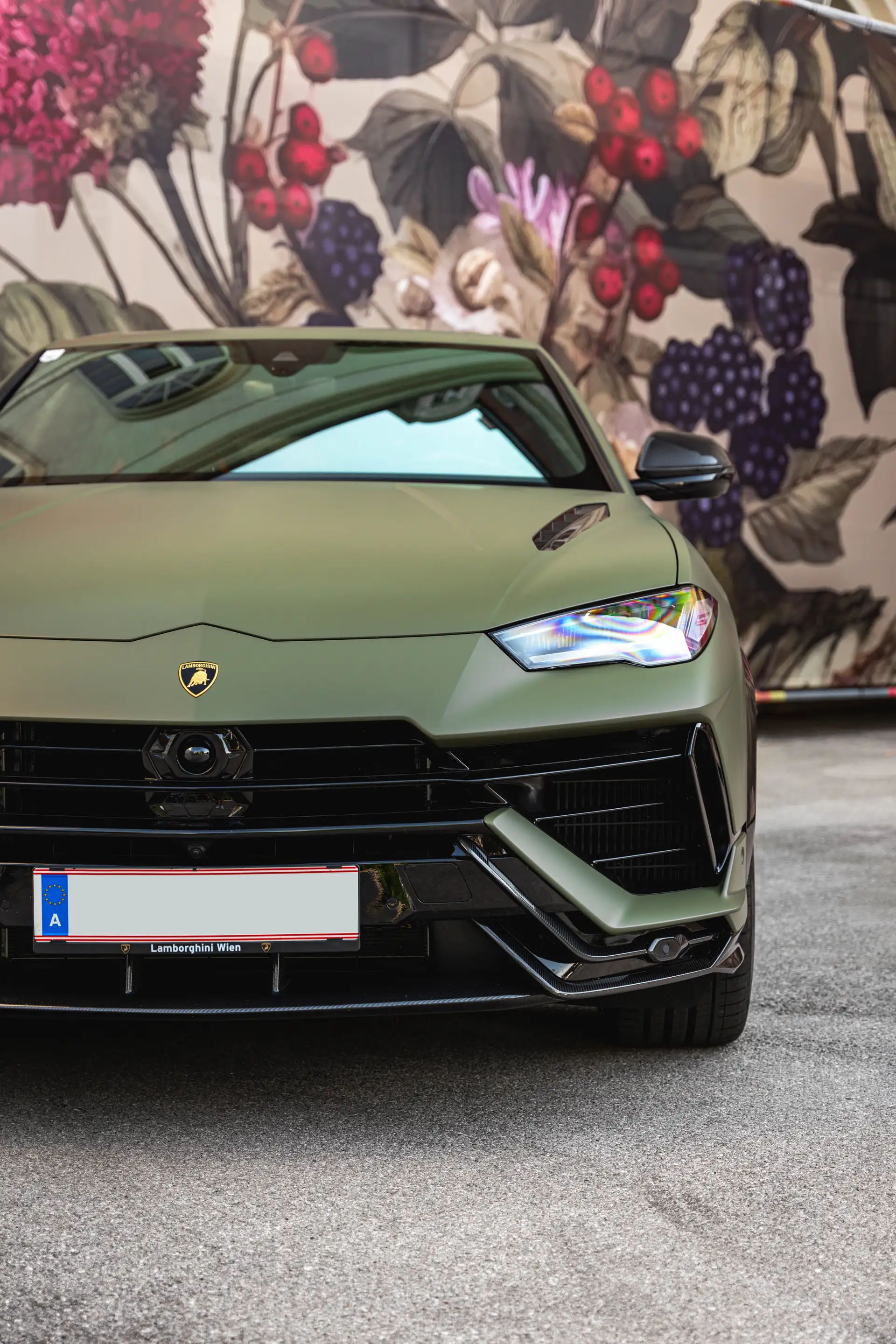 Lamborghini Urus Performante *VERDE TURBINE*CARBON*VOLLAUSSTATTUNG* — photo 11