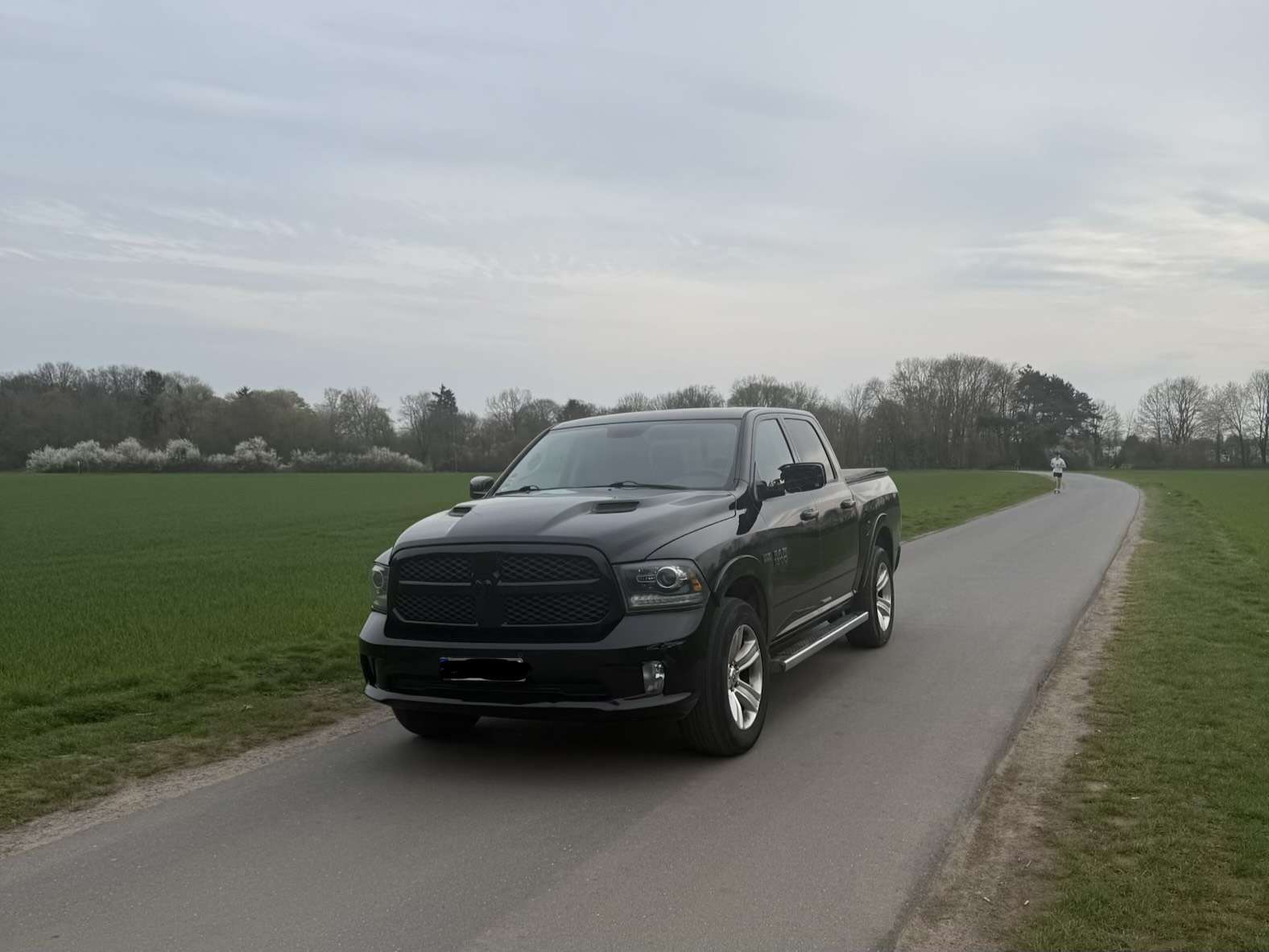 Brugt Dodge Ram 