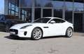 Jaguar F-Type P300 Black-Pack/Klappe/Kamera Weiß - thumbnail 1