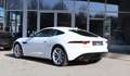 Jaguar F-Type P300 Black-Pack/Klappe/Kamera Weiß - thumbnail 9