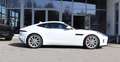 Jaguar F-Type P300 Black-Pack/Klappe/Kamera Weiß - thumbnail 12