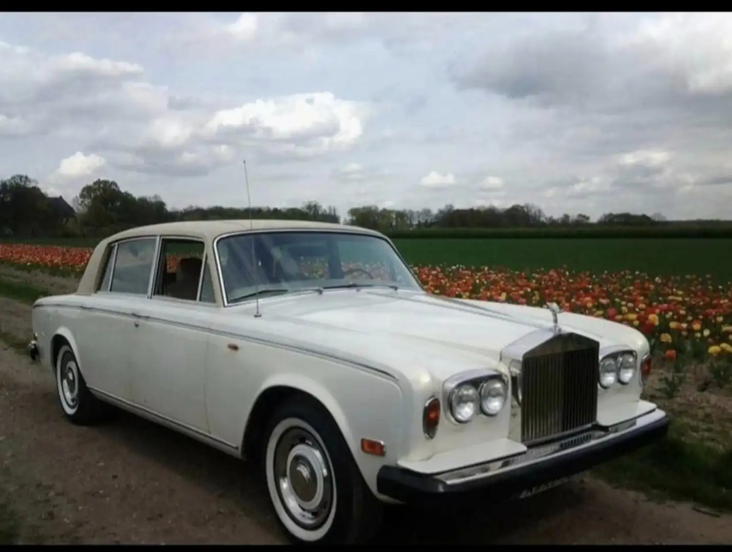 Rolls-Royce Silver Shadow Weiß - 1