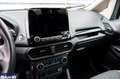 Ford EcoSport EcoSport 1.0 ecoboost Titanium s&s 125cv my20.25 - thumbnail 13