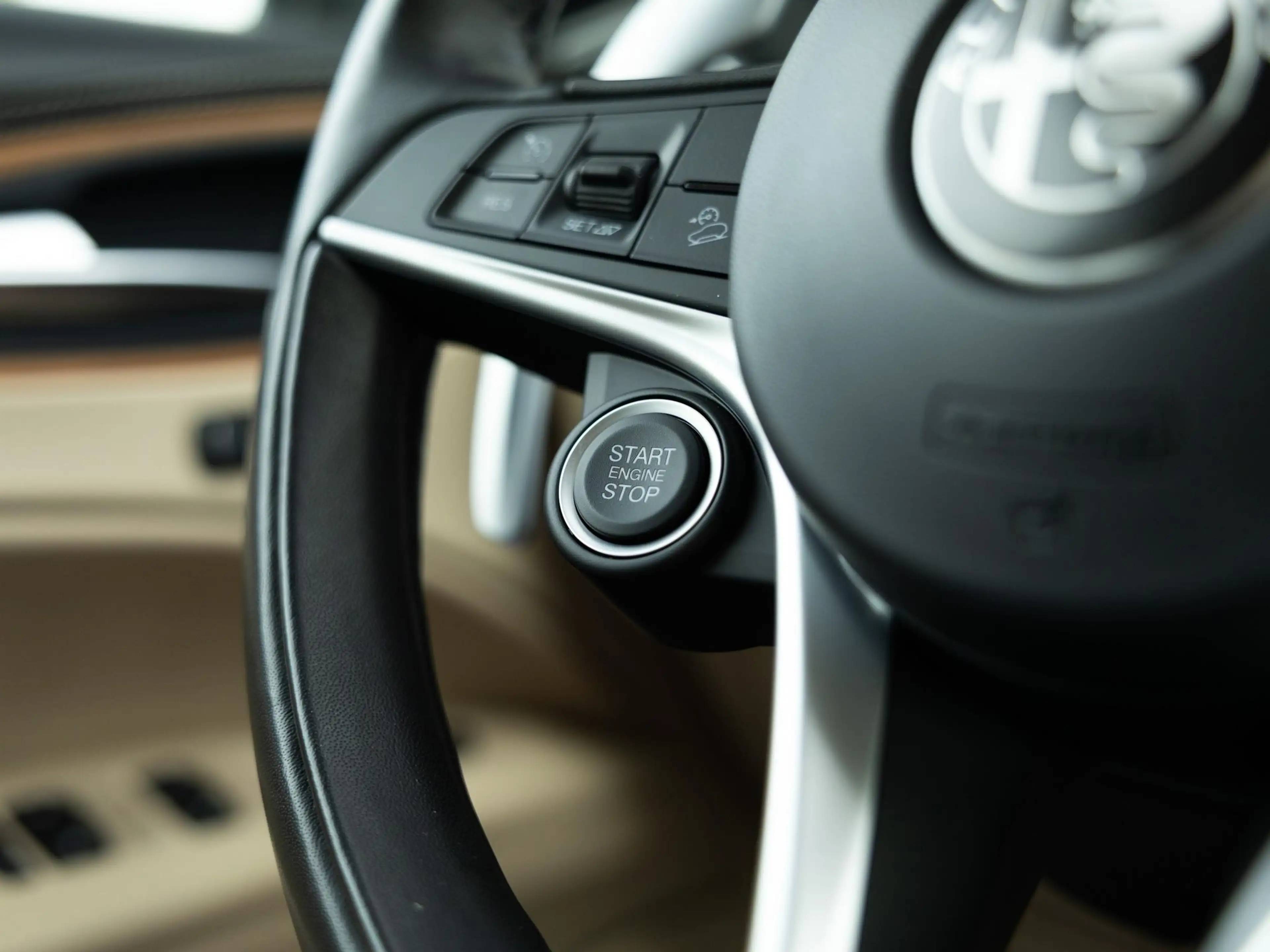 Alfa Romeo Stelvio 2.0 T Q4 Luxury|1e Eig|Carplay|Camera|Keyless — photo 15