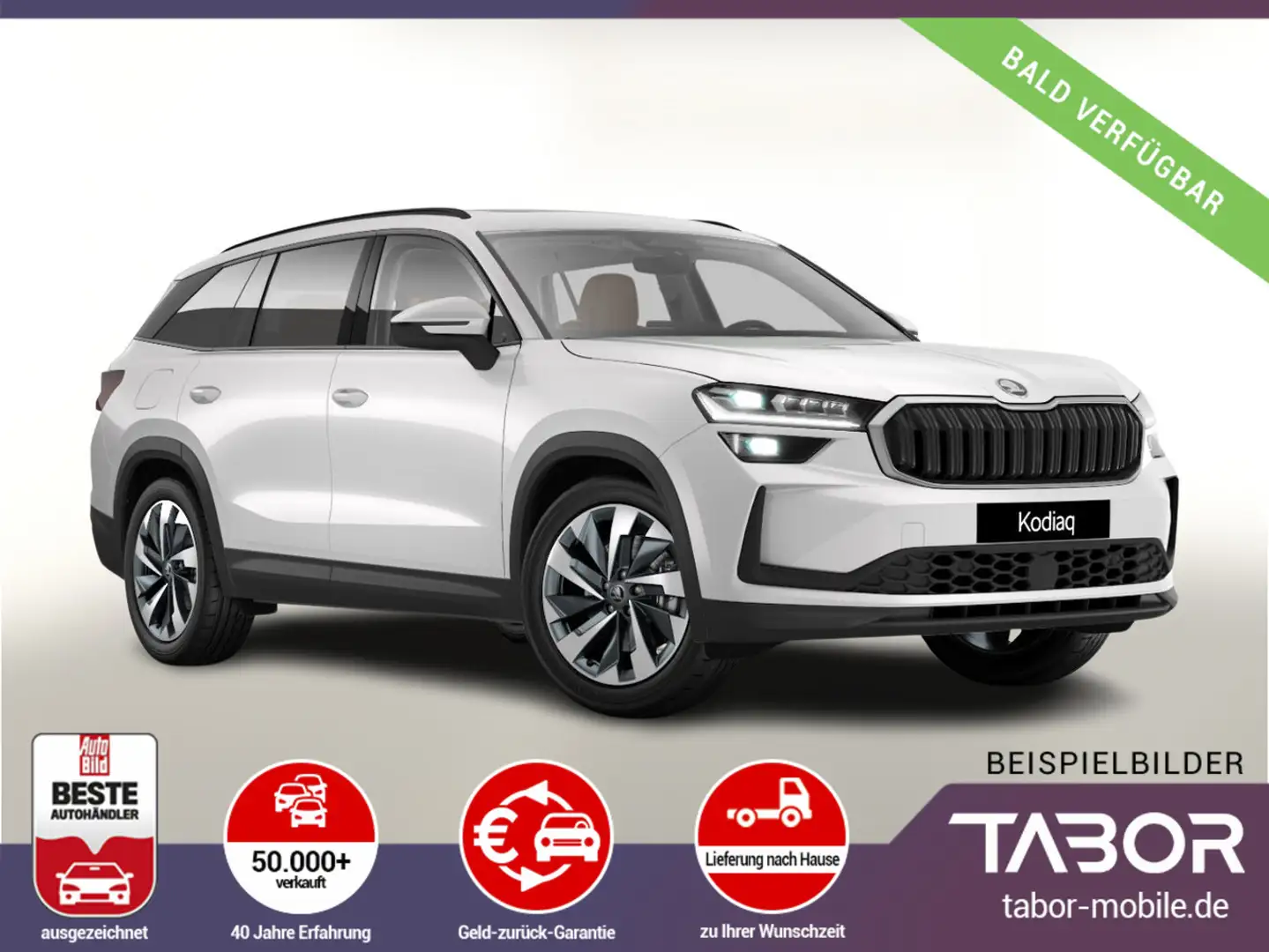 Skoda Kodiaq eTSI DSG Selec Pano AHK 7S HUD 360° Leder Weiß - 1
