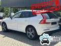 Volvo XC60 XC60 B4 B Geartronic Momentum +PANO+ASSISTS+NAV+ Weiß - thumbnail 11