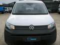 Volkswagen Caddy Kombi Weiß - thumbnail 8