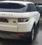 Land Rover Range Rover Evoque eD4 Dynamic Blanc - thumbnail 6