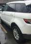 Land Rover Range Rover Evoque eD4 Dynamic Blanc - thumbnail 3