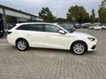 SEAT Leon 2.0 TDI Style*VC*AHK*LED*NAVI* Weiß - thumbnail 15