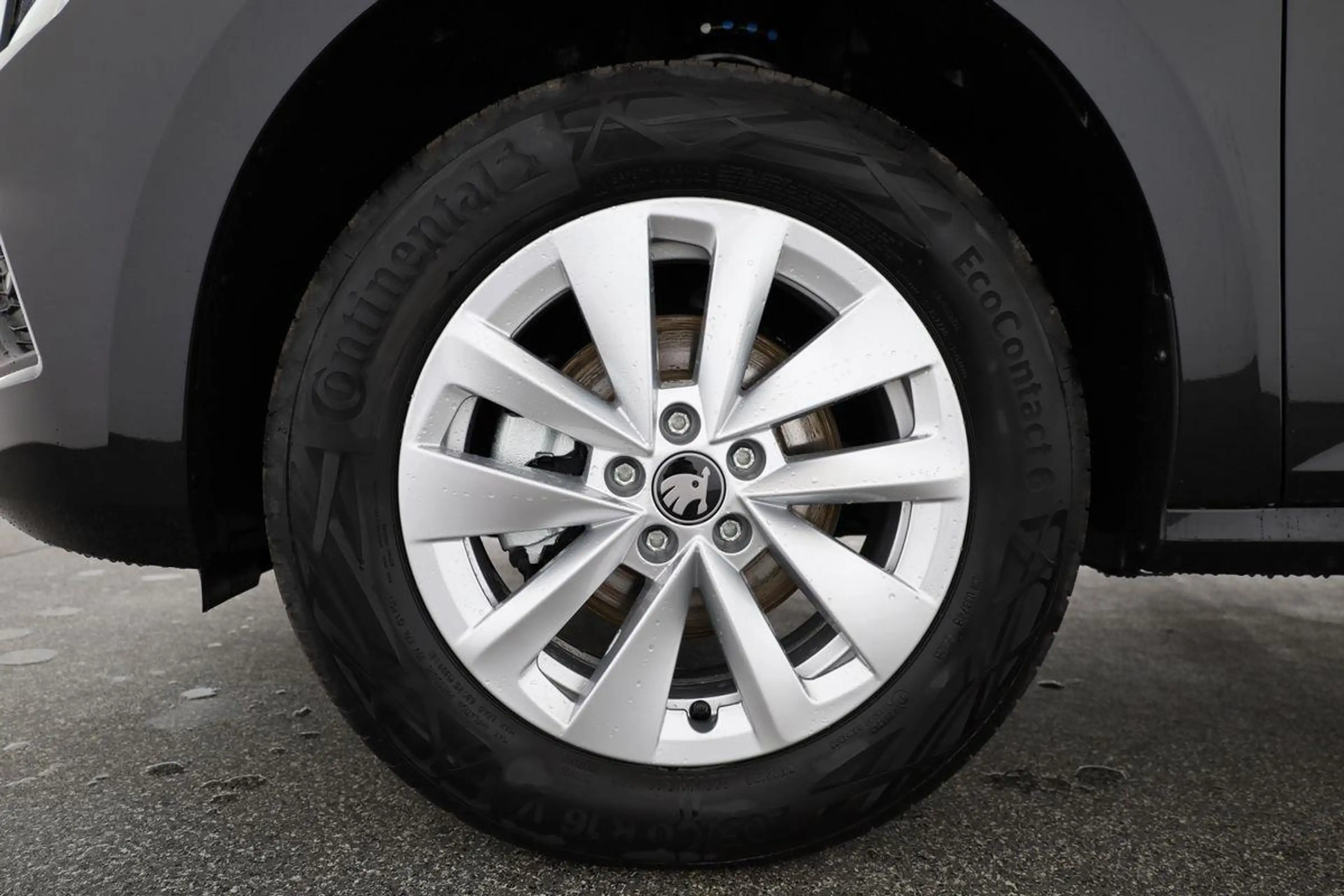 Skoda Kamiq Selection 1.0 TSI DSG Selection, LED, Kamera, L... — photo 13