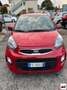 Kia Picanto 1.0 12V 5p. Glam Bianco - thumbnail 10