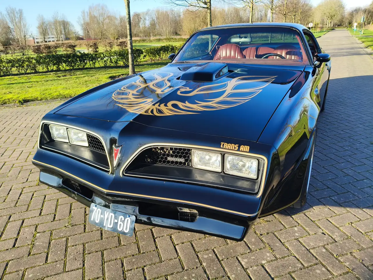 Pontiac Trans Am FIREBIRD, foto 4