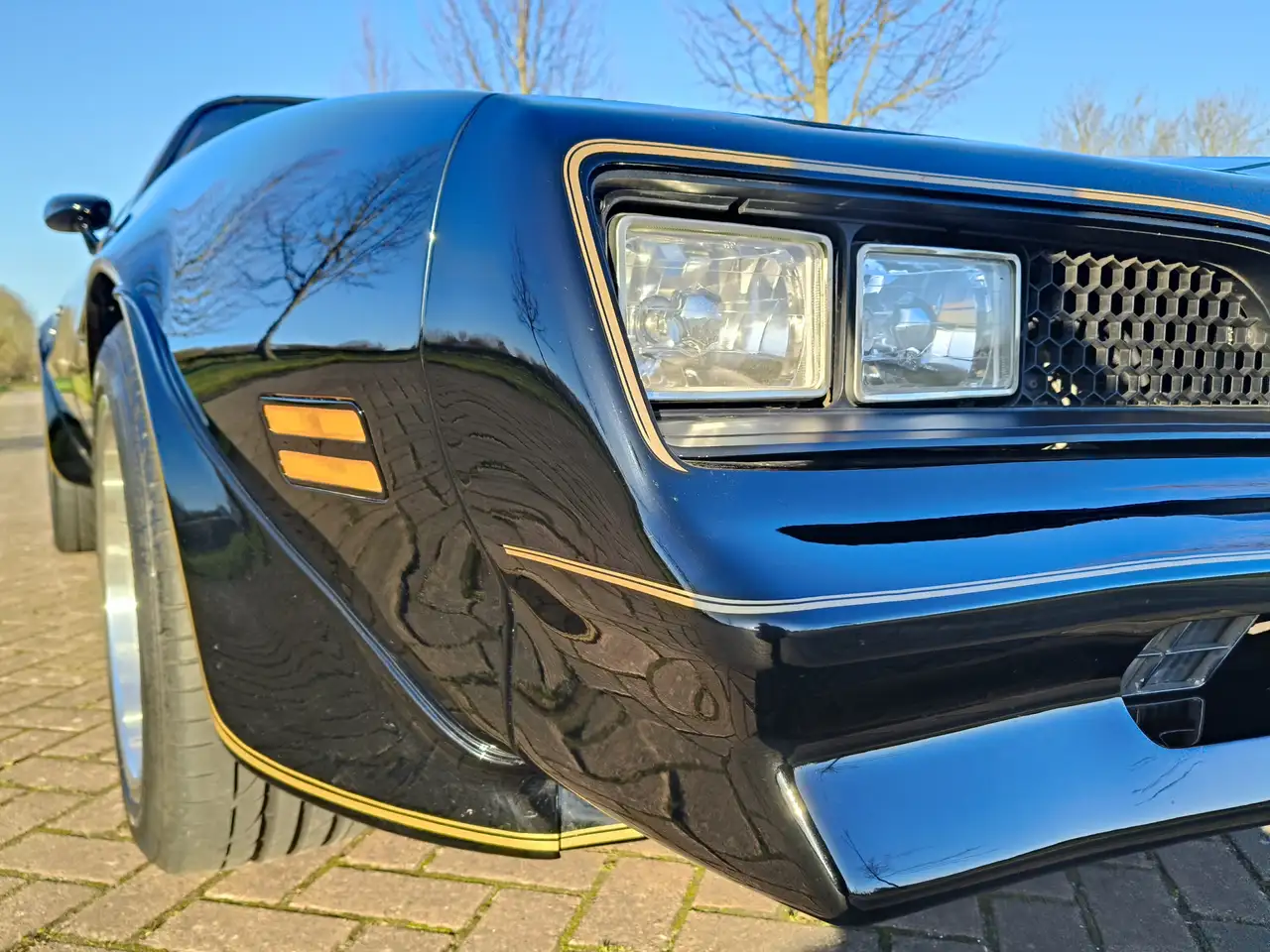 Pontiac Trans Am FIREBIRD, foto 12