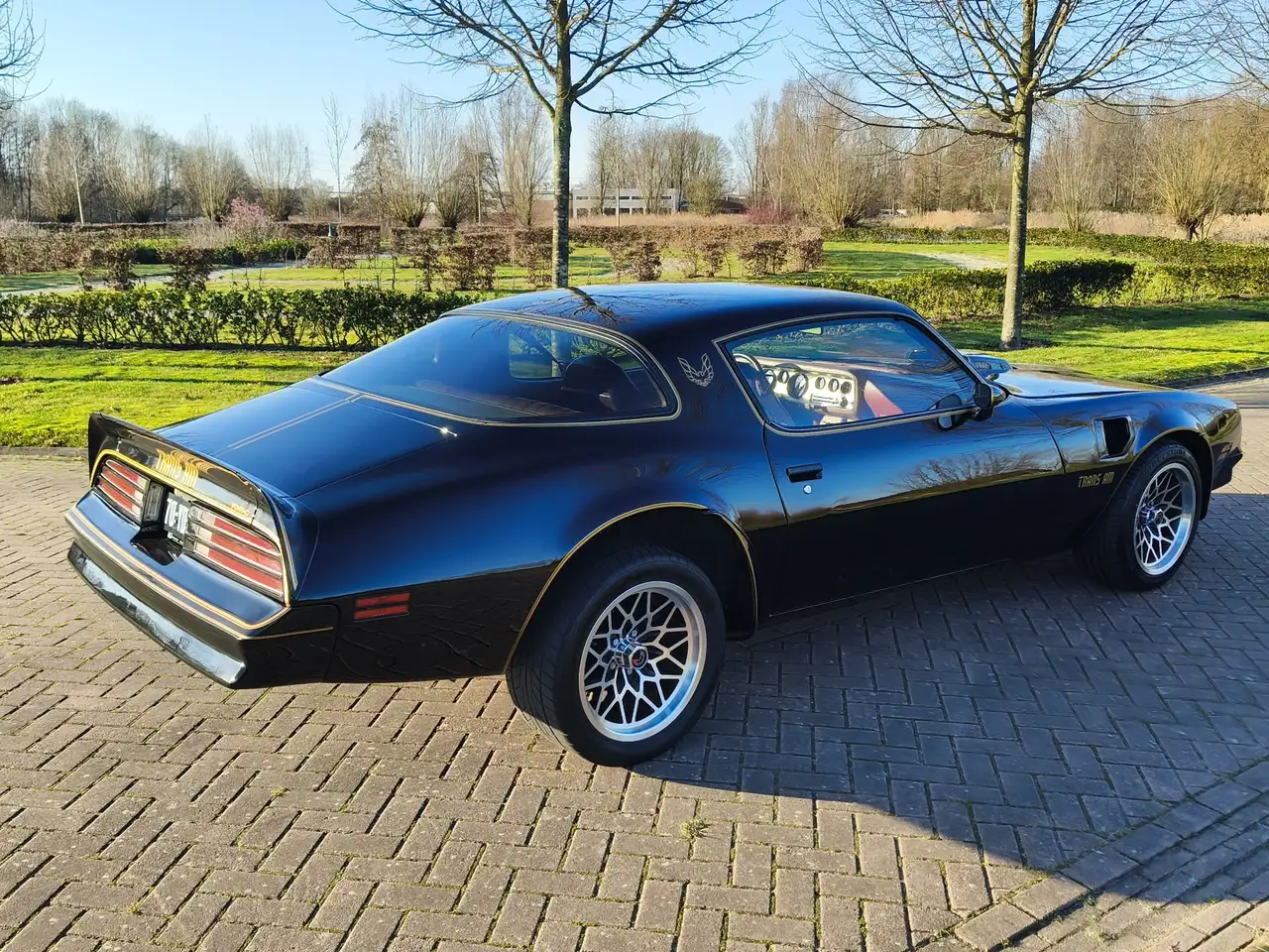 Pontiac Trans Am FIREBIRD, foto 3