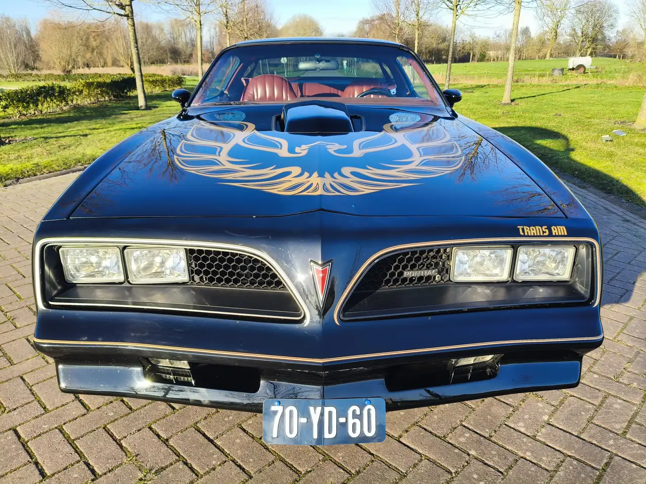 Pontiac Trans Am FIREBIRD, foto 2