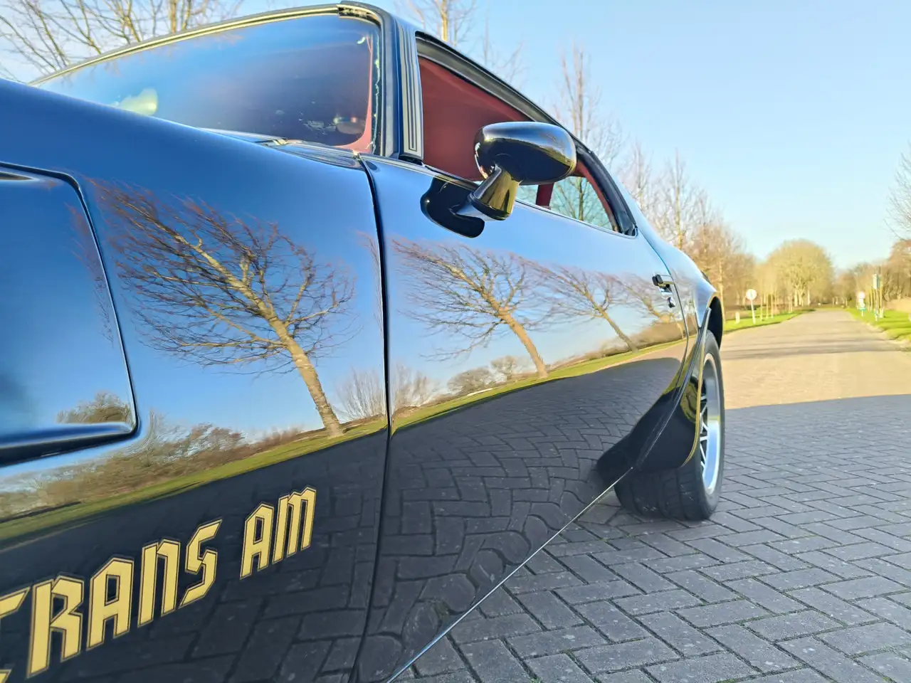 Pontiac Trans Am FIREBIRD, foto 8