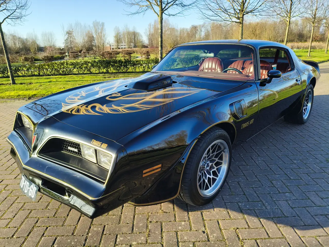 Pontiac Trans Am FIREBIRD, foto 6