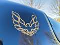 Pontiac Trans Am FIREBIRD Schwarz - thumbnail 21