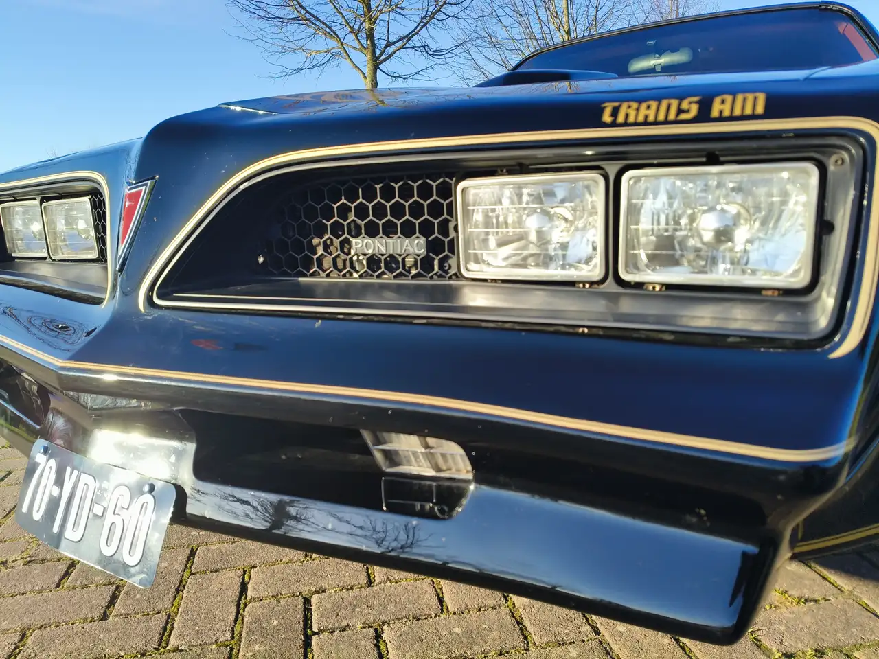Pontiac Trans Am FIREBIRD, foto 11
