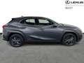 Lexus UX 250h Business Line + leather Grey - thumbnail 16