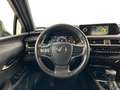 Lexus UX 250h Business Line + leather Сірий - thumbnail 10