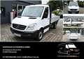 Mercedes-Benz Sprinter 311 CDI Pritsche 3,40m L2 RWD TÜV Neu Weiß - thumbnail 1