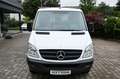 Mercedes-Benz Sprinter 311 CDI Pritsche 3,40m L2 RWD TÜV Neu Weiß - thumbnail 3