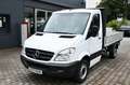 Mercedes-Benz Sprinter 311 CDI Pritsche 3,40m L2 RWD TÜV Neu Weiß - thumbnail 2
