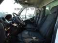 Opel Movano ISOTERMICO 7 EUROPALLET MOTORE NUOVO -20° FRCX Wit - thumbnail 12