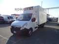 Opel Movano ISOTERMICO 7 EUROPALLET MOTORE NUOVO -20° FRCX Wit - thumbnail 1