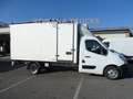Opel Movano ISOTERMICO 7 EUROPALLET MOTORE NUOVO -20° FRCX Wit - thumbnail 4