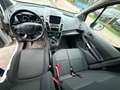 Ford Transit Connect Kasten Trend Blau - thumbnail 5