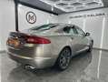 Jaguar XF 3.0 V6 Diesel Luxury 240 Aut. Gris - thumbnail 6