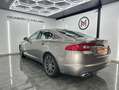 Jaguar XF 3.0 V6 Diesel Luxury 240 Aut. Gris - thumbnail 4