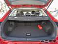 Volkswagen T-Roc 1.5 TSI DSG Style Navi Bluetooth Kamera Anschlussg Rot - thumbnail 12