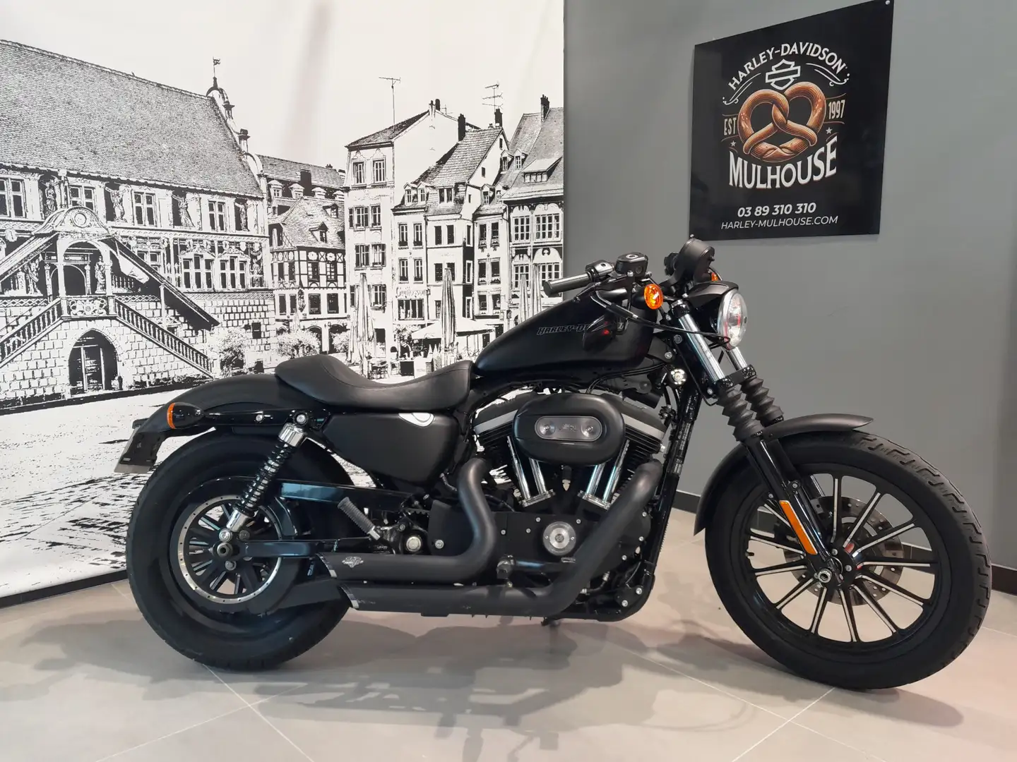 Harley-Davidson Sportster - 1