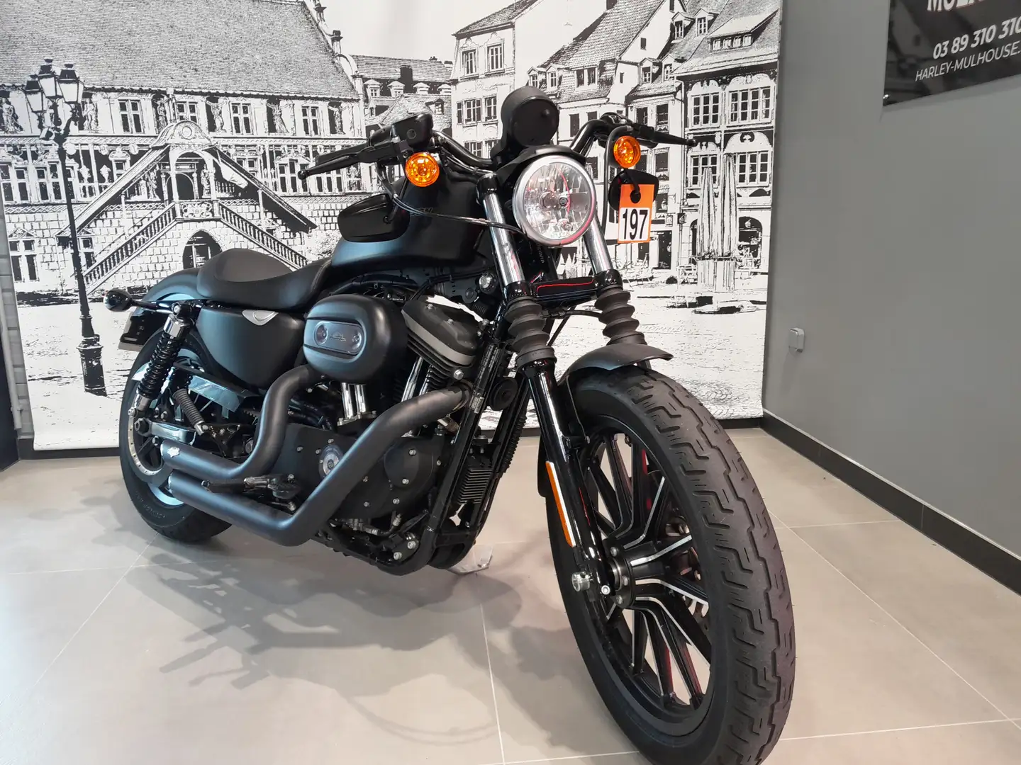 Harley-Davidson Sportster - 2