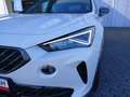 CUPRA Formentor TSI DSG 4Drive LED Pano ACC RFK SH 19" Weiß - thumbnail 27