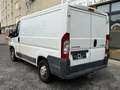 Citroen Jumper Kasten 28 L1H1 Start HDi 110 Blanc - thumbnail 4
