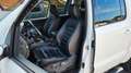 Volkswagen Amarok Aventura DoubleCab 4Motio/R.CAM/BI-XENON Wit - thumbnail 19